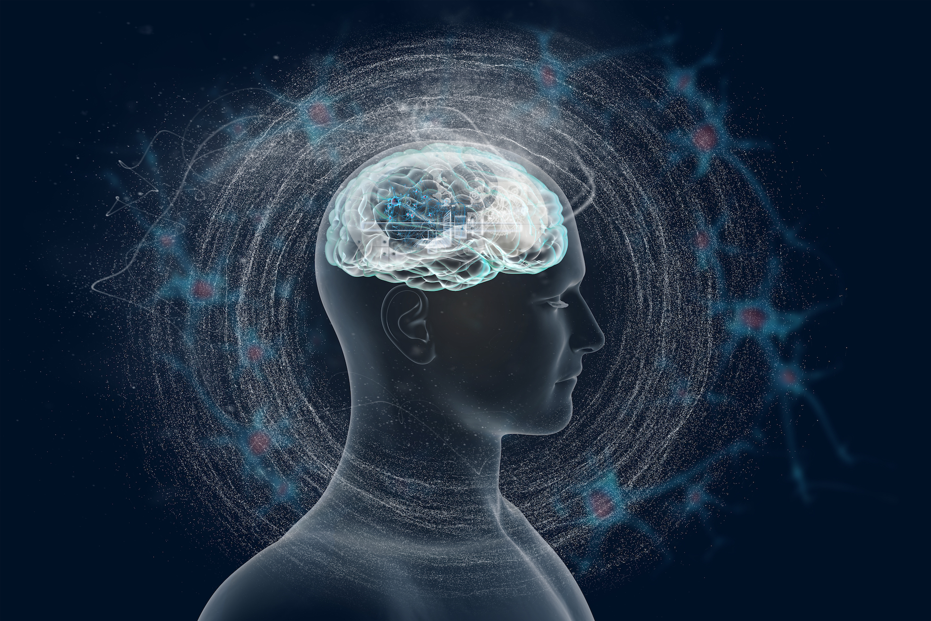 What Is A Capability School Of Excellence