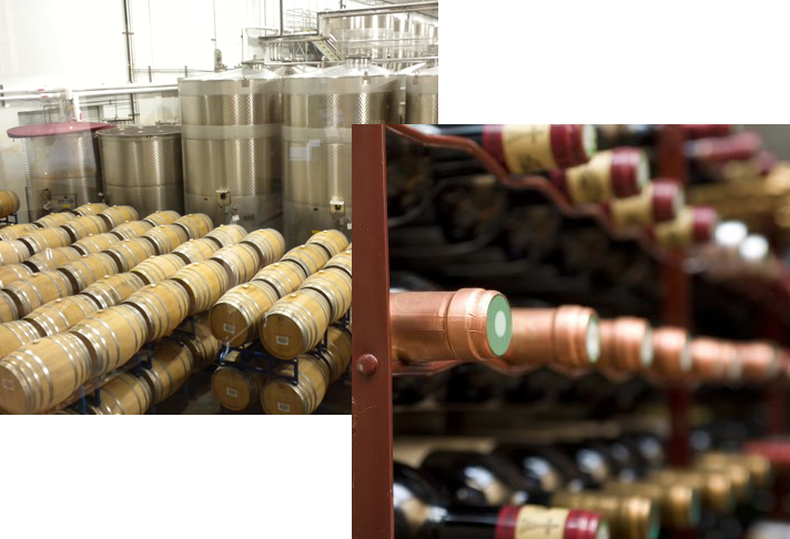 how to start a winery business