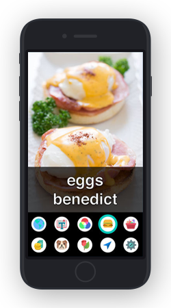 Aipoly Mobile App