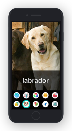 Aipoly_screen2