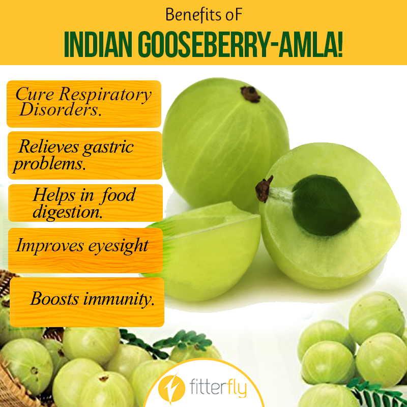 5 Benefits And Quick Ways To Include The Nutritious Indian Gooseberry Amla Fitterfly Knowledge Center Common examples are amla pickle, amla jams, amla mouth fresheners, amla sherbets, etc. nutritious indian gooseberry amla
