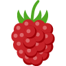 Raspberries raw