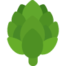 Artichokes raw