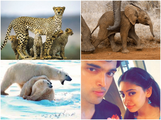 Protective - ManNan