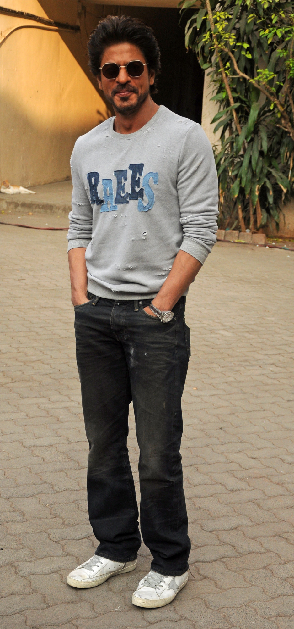 The King of Bollywood-Shahrukh khan