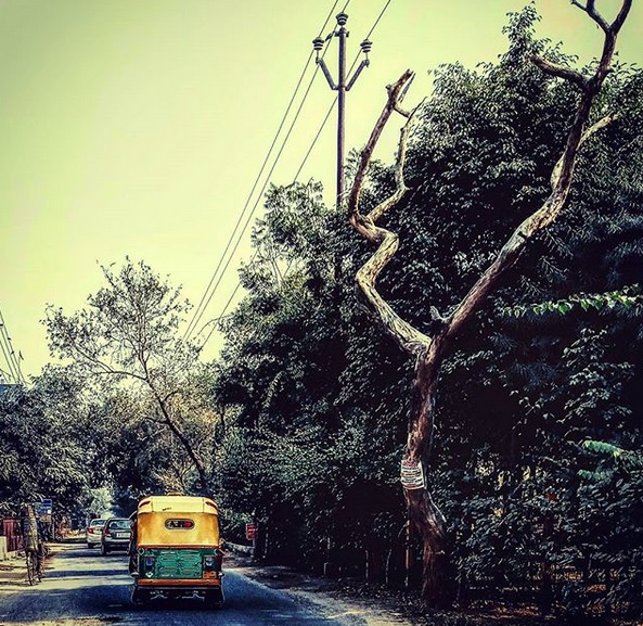 Image Courtesy - Instagram