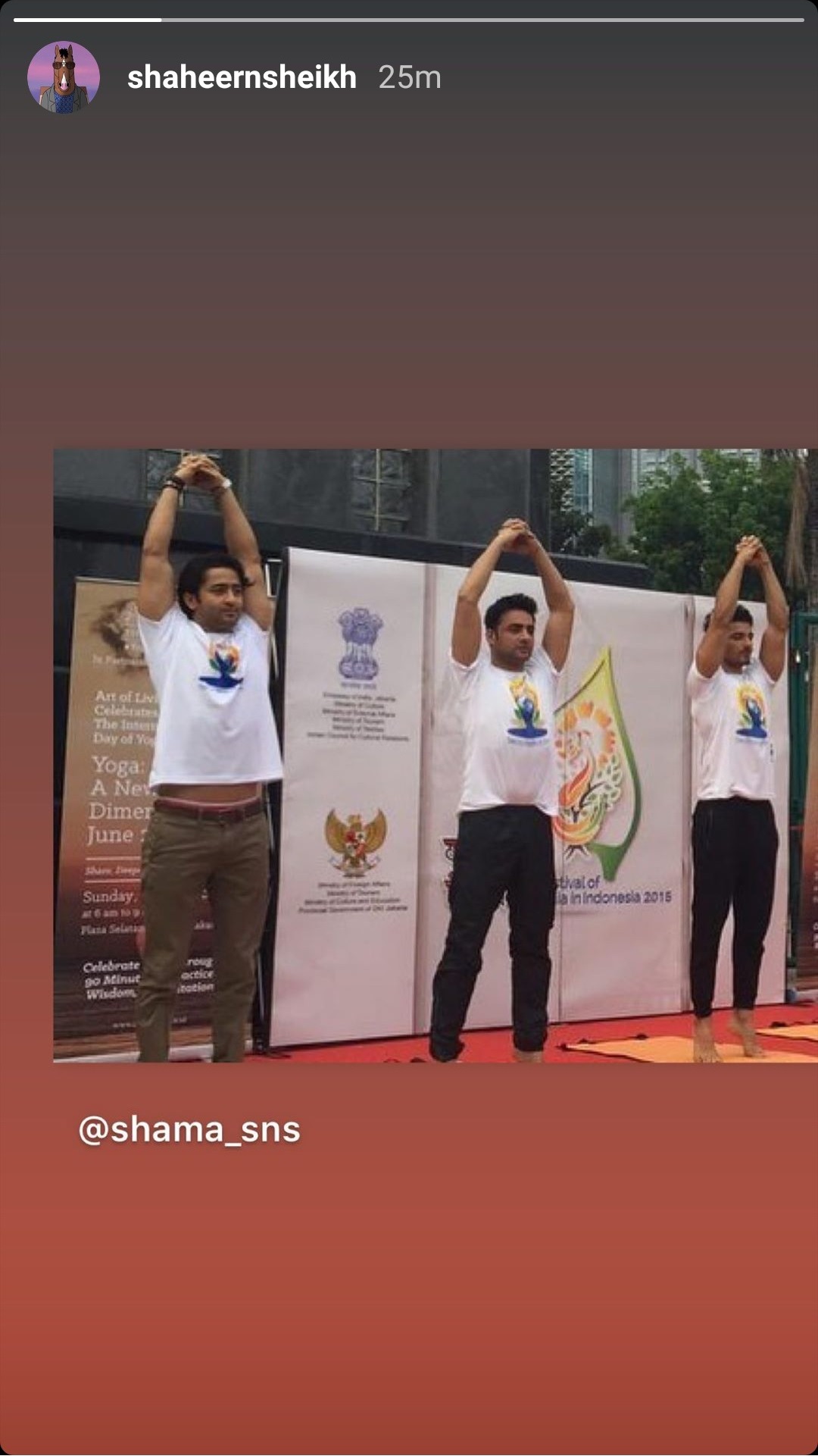 Shaheer Sheikh