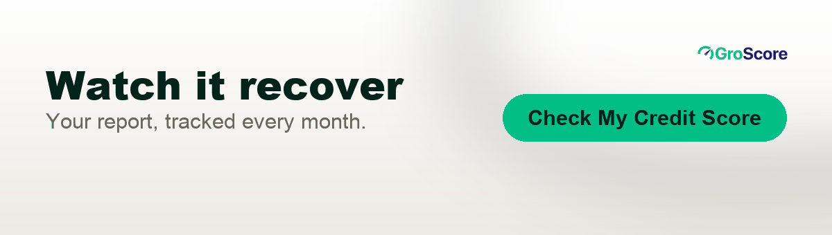 See every account on your credit report with GroScore