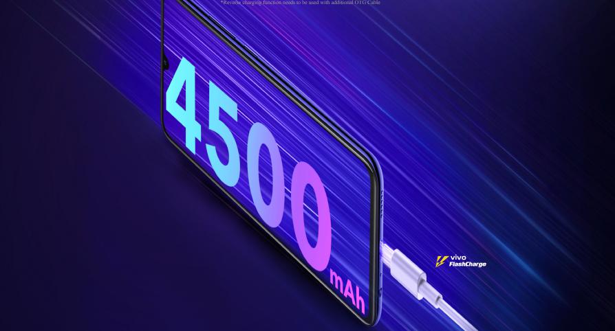 Vivo-Z1-x-Battery-Backup-4500-mAh-2019