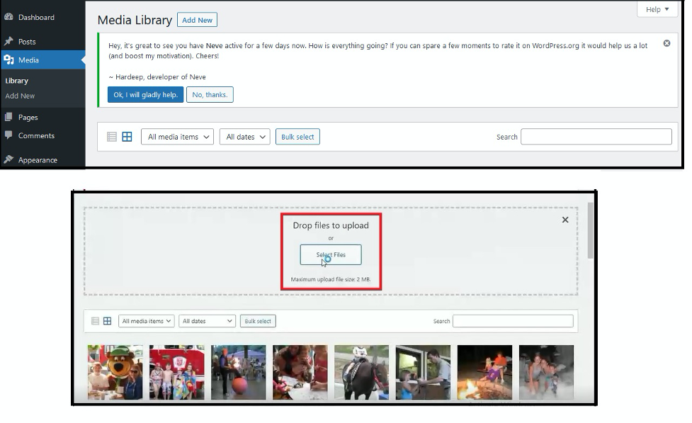 media library