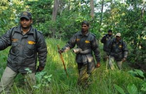 দিল্লি অরণ্য ও বন্যপ্রাণী বিভাগে ফরেস্ট রেঞ্জার, গার্ড, ওয়াইল্ডলাইফ গার্ড ২২৬ Central Govt Job, Government Job, Group C Job, Central Government Recruitment
