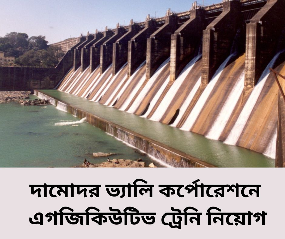 ডিভিসিতে ট্রেনি নিয়োগের আবেদনের সময়সীমা বাড়ল DVC Executive Trainee Recruitment 2025