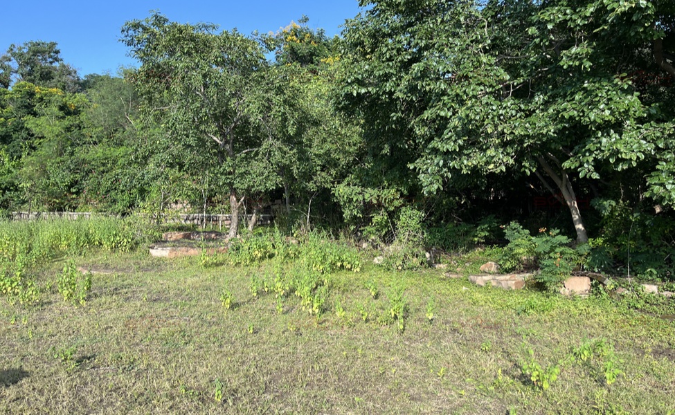 Uper Lake Soch Filmss 01