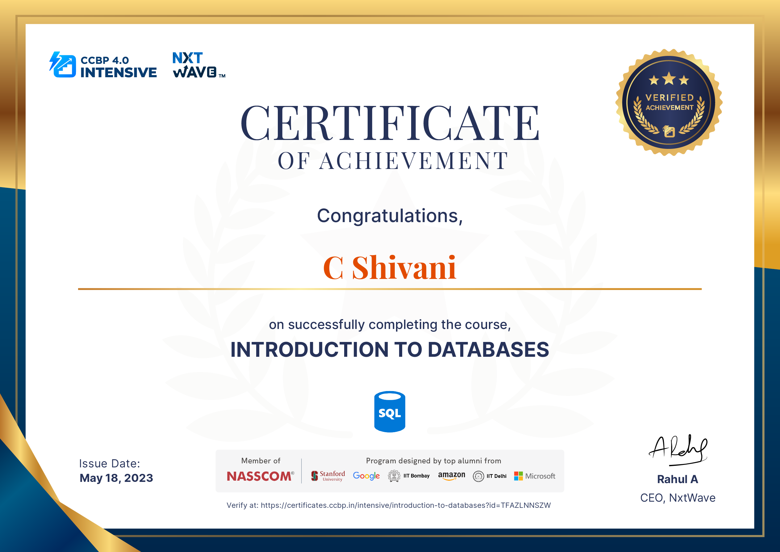C Shivani - Frontend Developer | Skilled in HTML, CSS, JavaScript ...