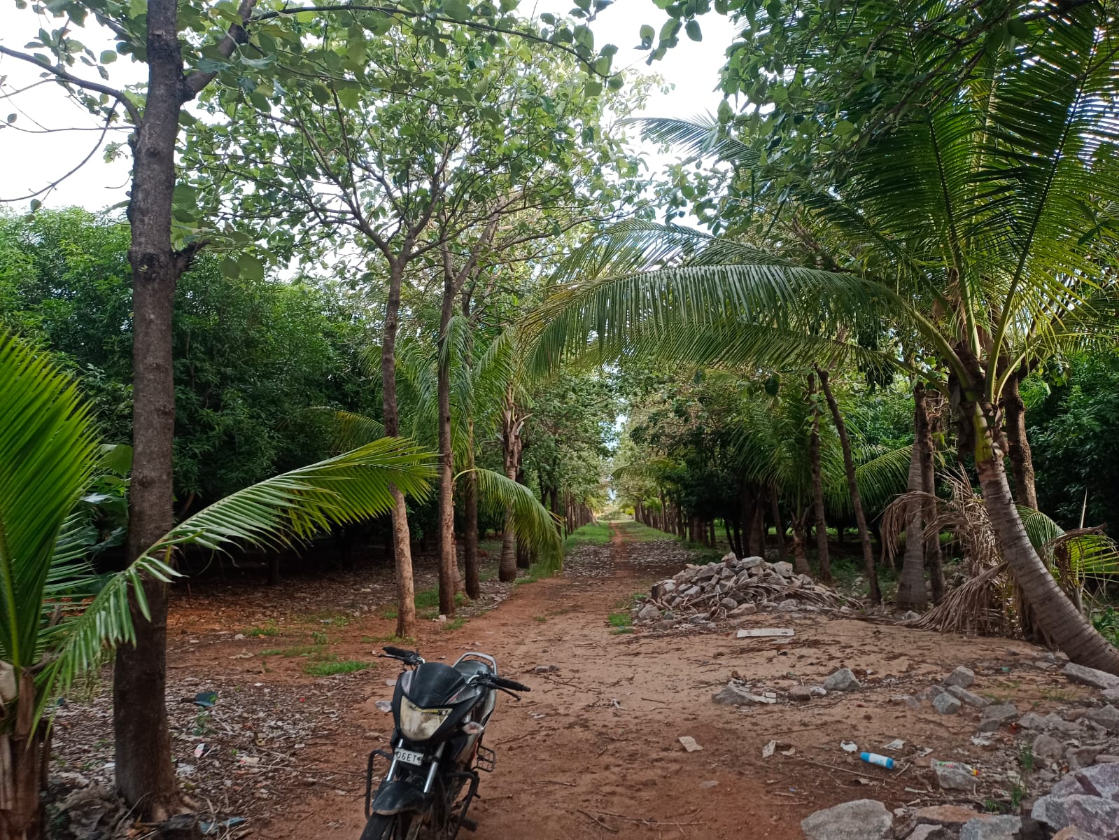 Agricultural Land for Sale@ MAHABUB NAGAR DIST