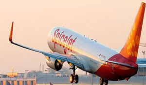 spicejet