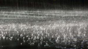 Punjab in Heavy rain With Hail Farmer loss of wheat