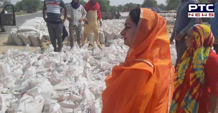 Instead of spreading canards, tell why lifting not being done in Mandis - Harsimrat Badal to CM (2) Instead of spreading canards, tell why lifting not being done in Mandis - Harsimrat Badal to CM