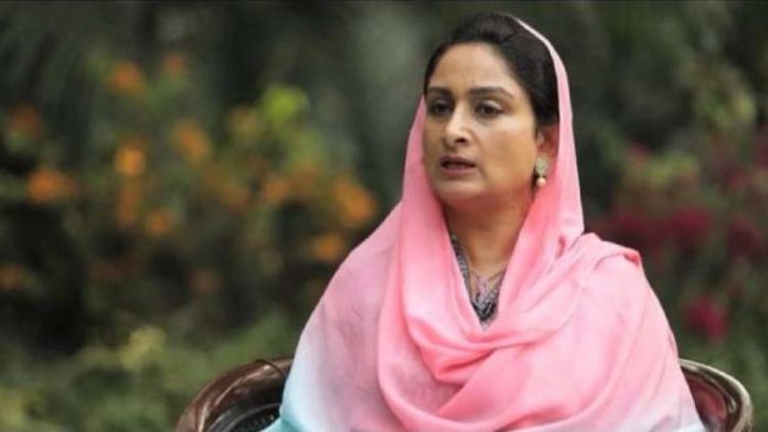 Harsimrat Badal lambaste Congress government for failing to provide its much-hyped health cover to people Harsimrat Badal lambaste Congress government for failing to provide its much-hyped health cover to people