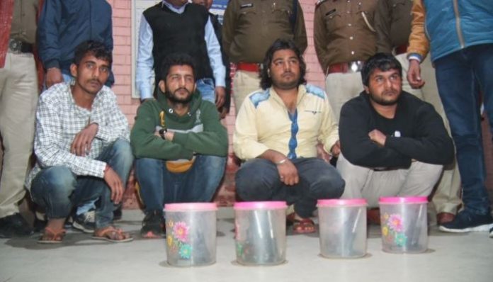 Haryana Police avert major crime, 4 arrested with illegal weapons Haryana Police avert major crime, 4 arrested with illegal weapons