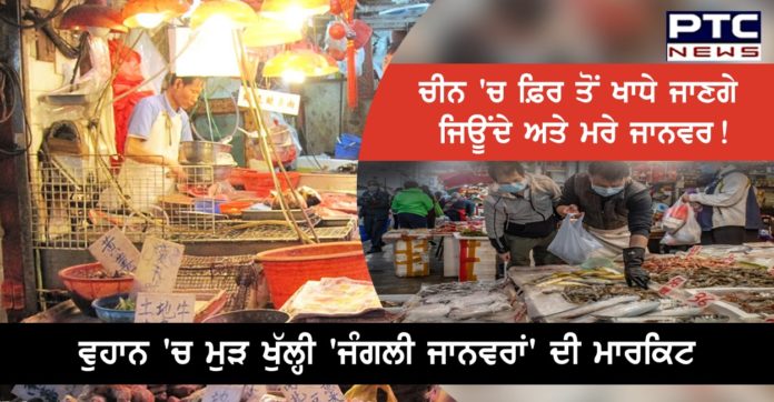 ਚੀਨ 'ਚ ਫ਼ਿਰ ਤੋਂ ਖਾਧੇ ਜਾਣਗੇ ਜਿਊਂਦੇ ਅਤੇ ਮਰੇ ਜਾਨਵਰ ! ਵੁਹਾਨ 'ਚ ਮੁੜ ਖੁੱਲ੍ਹੀ 'ਜੰਗਲੀ ਜਾਨਵਰਾਂ' ਦੀ ਮਾਰਕਿਟ https://www.ptcnews.tv/wp-content/uploads/2020/05/WhatsApp-Image-2020-05-29-at-12.36.19-PM.jpeg