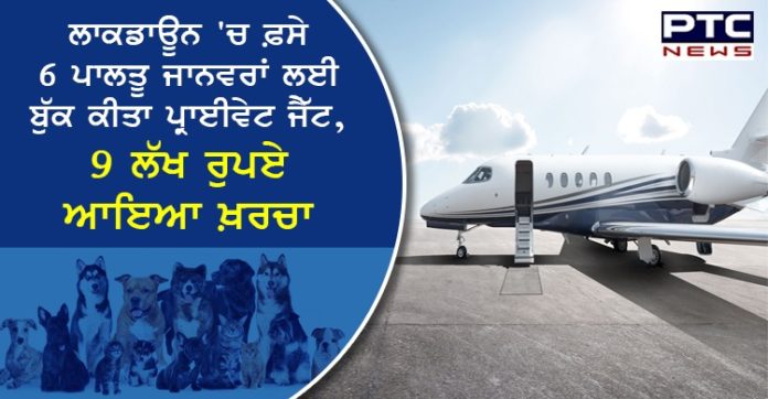 ਲਾਕਡਾਊਨ 'ਚ ਫ਼ਸੇ 6 ਪਾਲਤੂ ਜਾਨਵਰਾਂ ਲਈ ਬੁੱਕ ਕੀਤਾ ਪ੍ਰਾਈਵੇਟ ਜੈੱਟ, 9 ਲੱਖ ਰੁਪਏ ਆਇਆ ਖ਼ਰਚਾ Private Jet Hired For Rs 9.06 Lakh To Fly Pets From Delhi To Mumbai