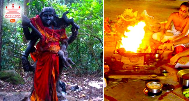 Perform Vanadurga Homa in Kshetras to seek protection from dark negative forces and progress in life.
