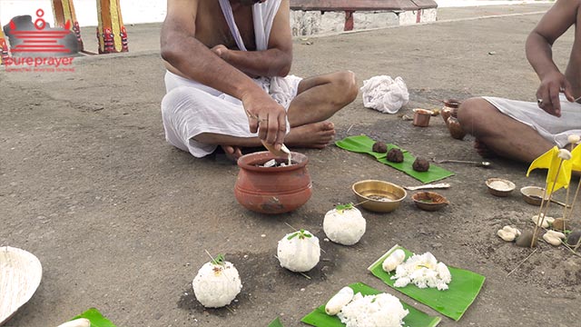 Book Telugu Panthulu for Asthi Visarjan