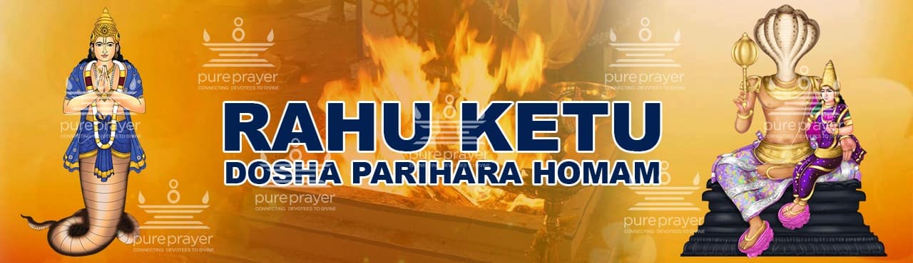 how to get blessings of rahu and ketu