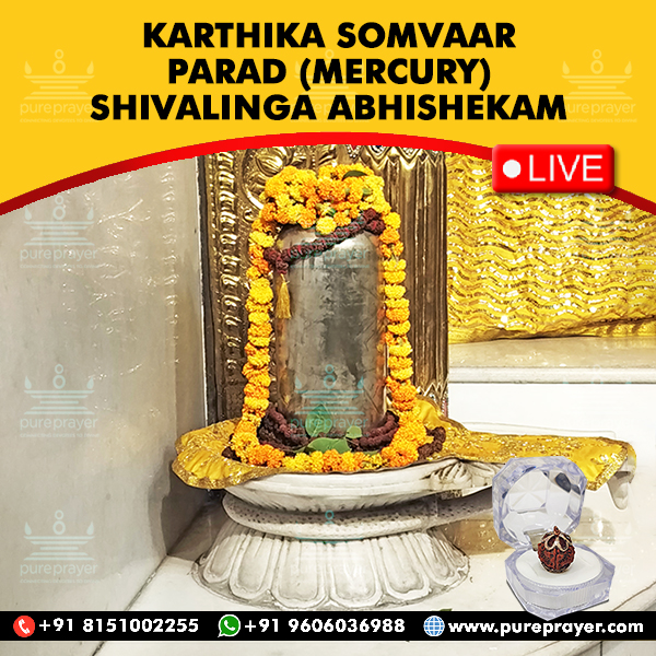 Karthika Somvar Parad (Mercury) Shivalinga Abhishekam Kashi Benares