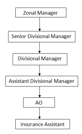 career path for LIC AAO