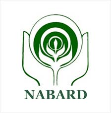 RACE INSTITUTE CAMPUS Recruitment by NABARD