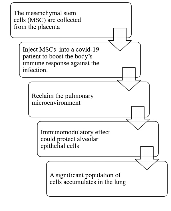 stem cell treatment for covid