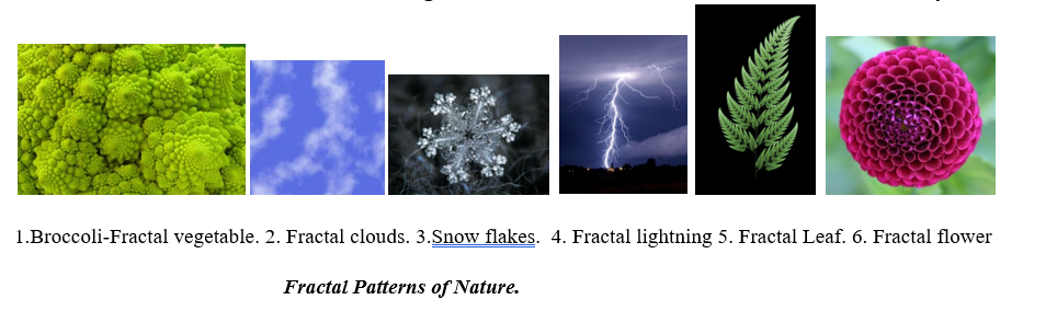 Euclidean to Fractal......Geometry of Nature... | Adamas University