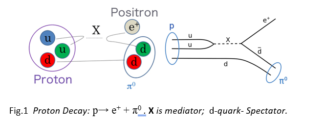 positron lepton number