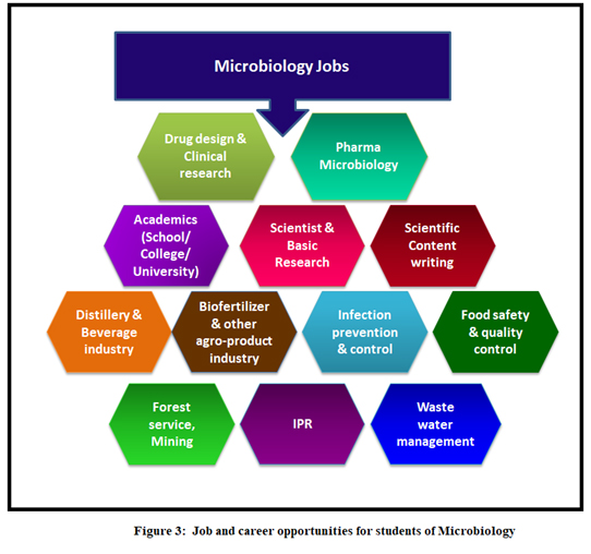 #MicrobiologyPlus : The Most Promising Career Path Beyond Medical ...