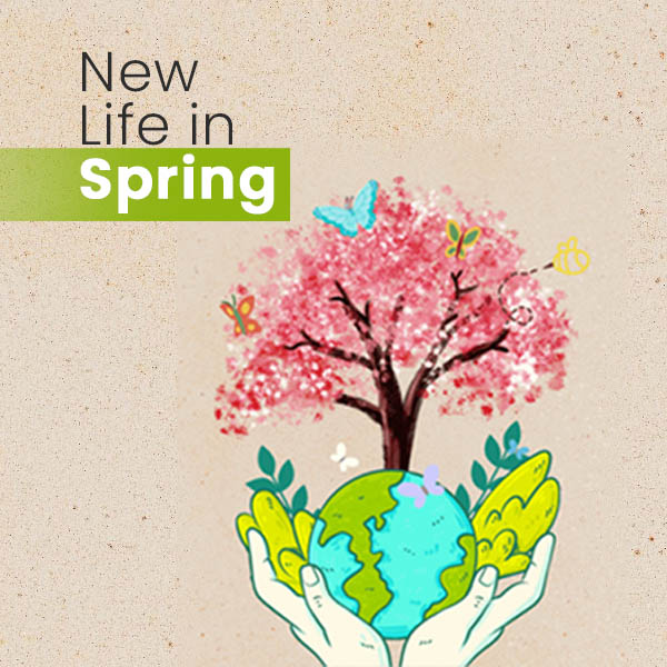 Christmas Tree Christmas Gifts New Year Gifts Makar Sankranti