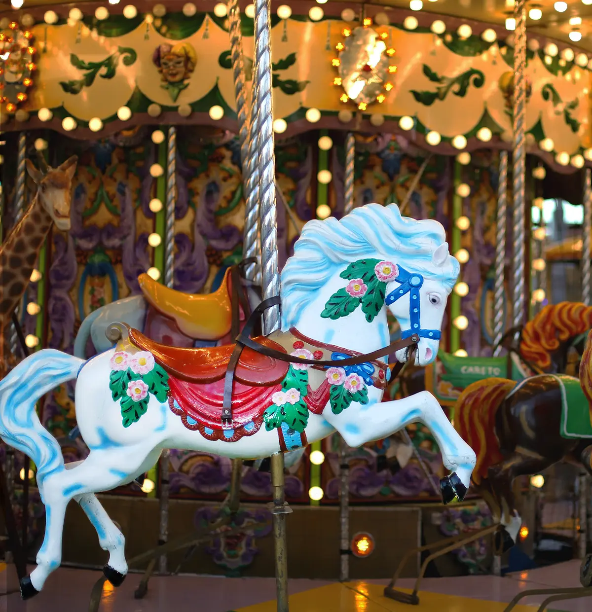 carousel image