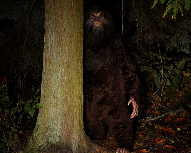 bigfoot