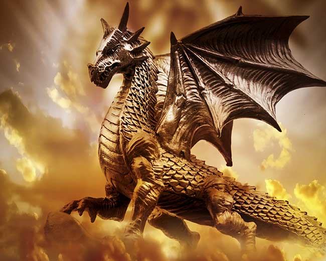 dragons