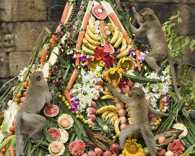 Monkey buffet festival