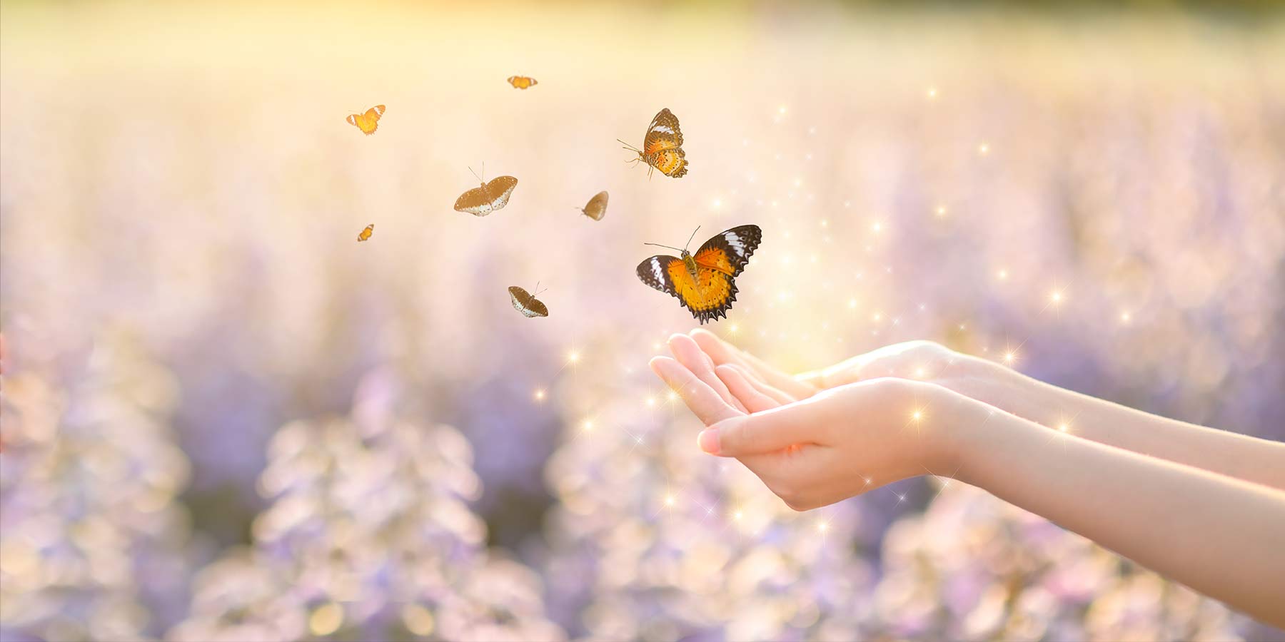 Why God Loves Small Gifts – Sadhu Vaswani