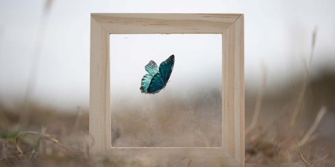 Oncoming of an Avatara