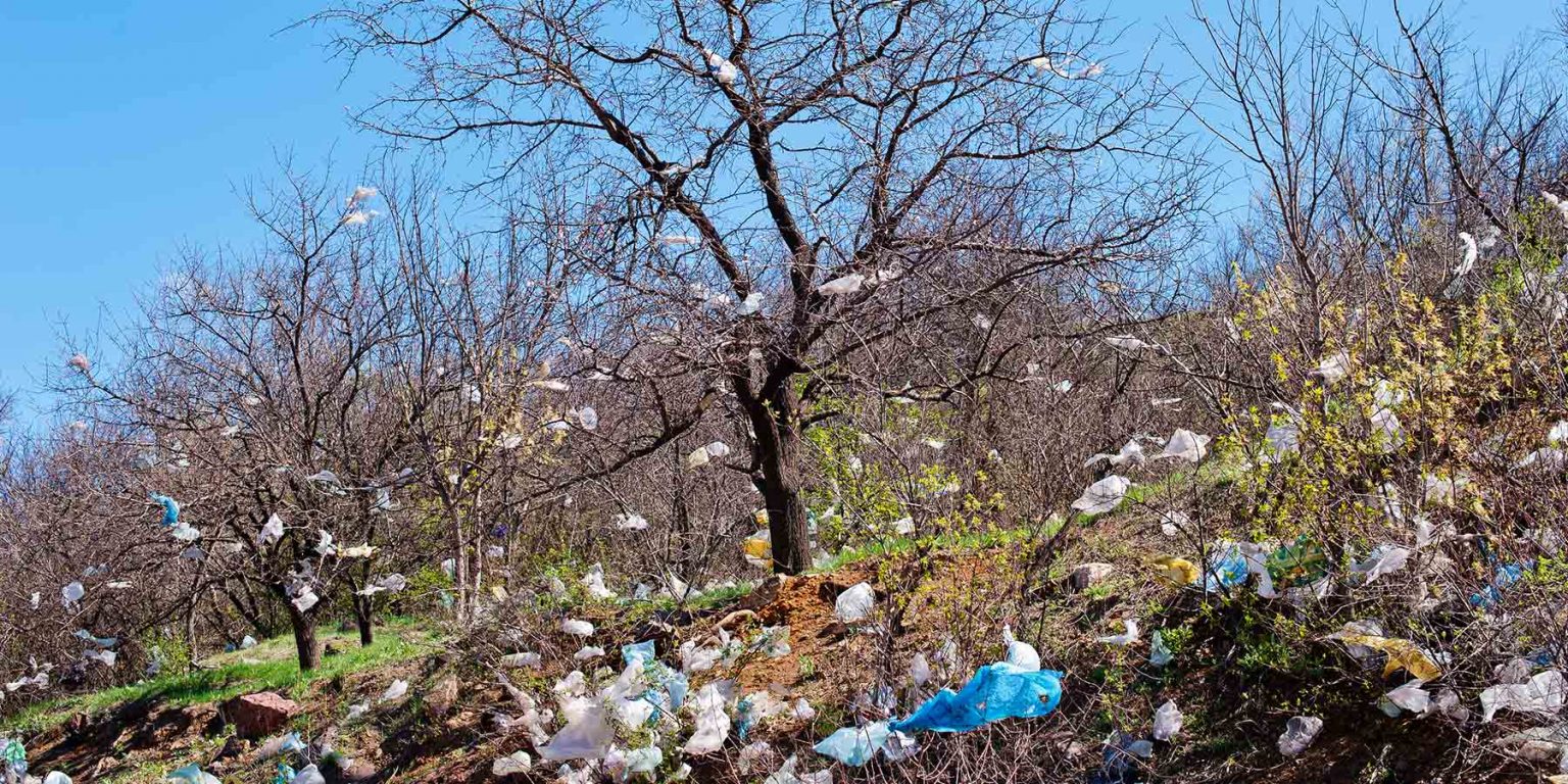 4 Reasons Why You Should Stop Using Plastic Bags Immediately!