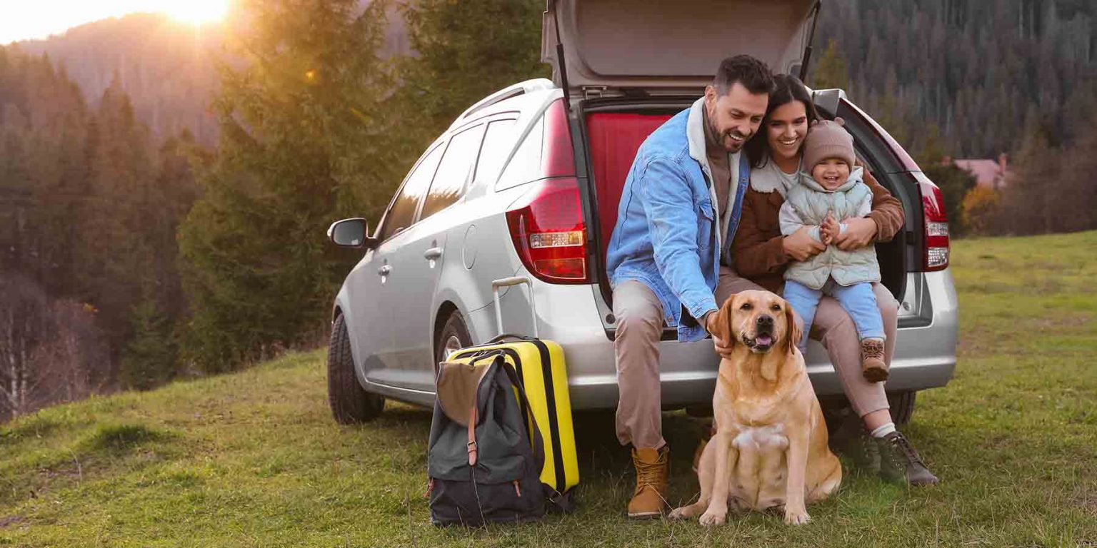 StressFree Tips for Travelling with Pets Plan Your Getaway