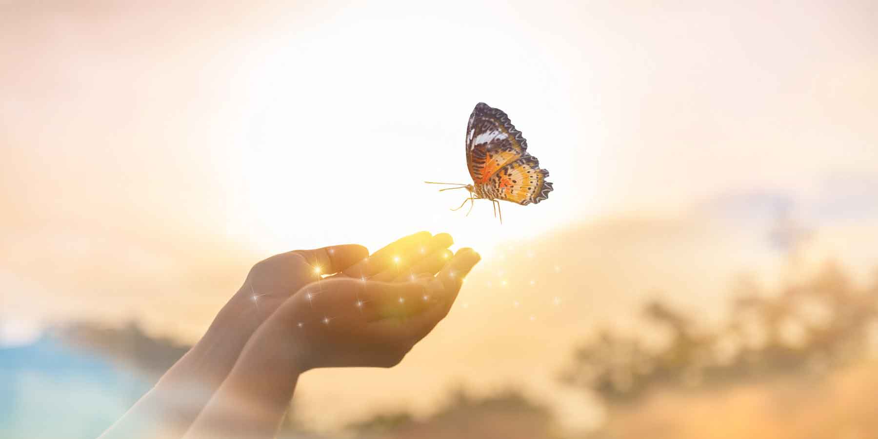 आध्यात्मिक लीडर के कोट्स