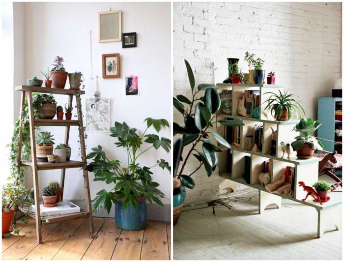 plants for decor