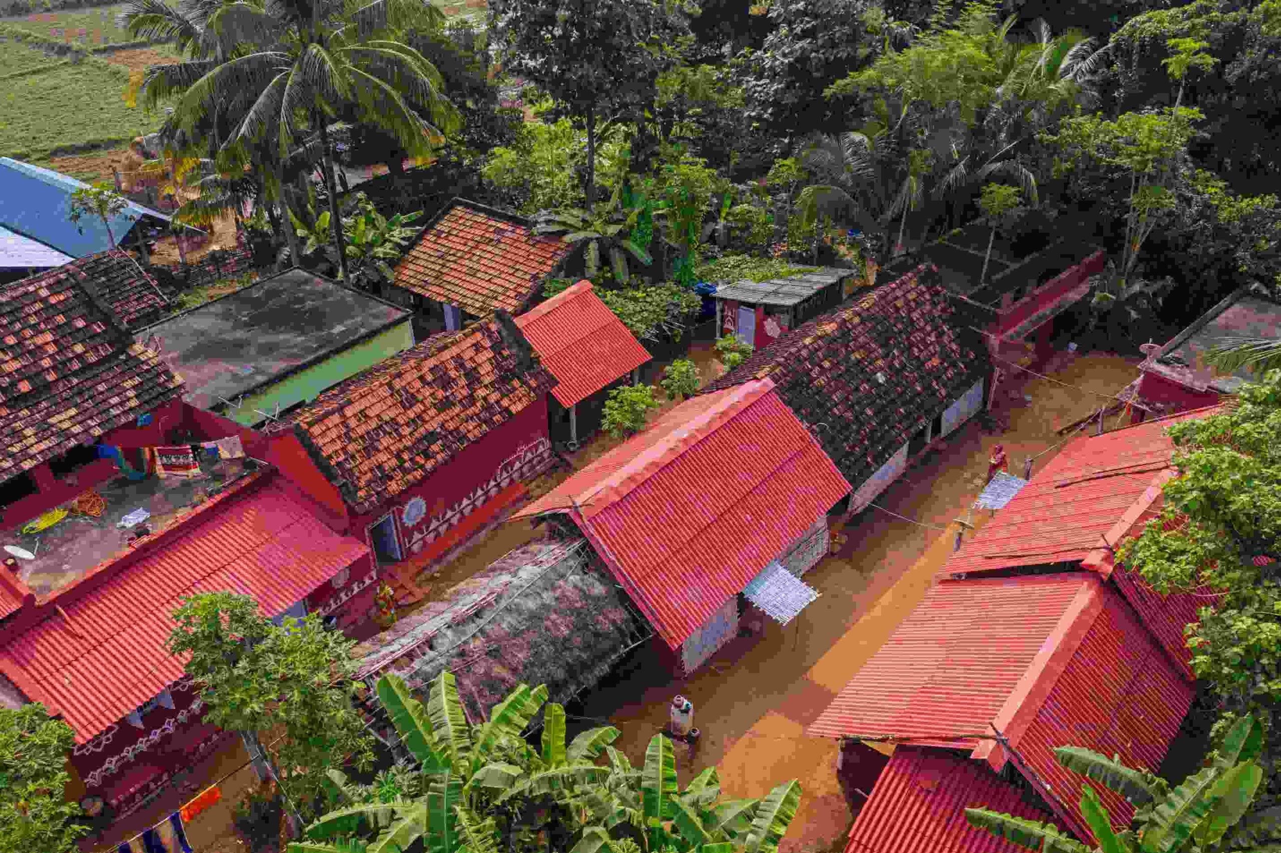 Forest Officer Creates Odisha’s First EcoVillage, Residents Earn 2 Crore