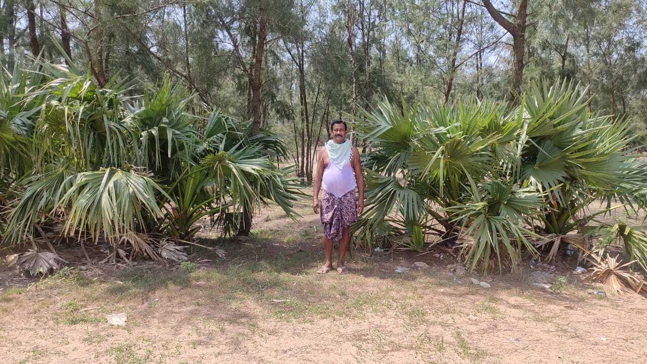 Odisha