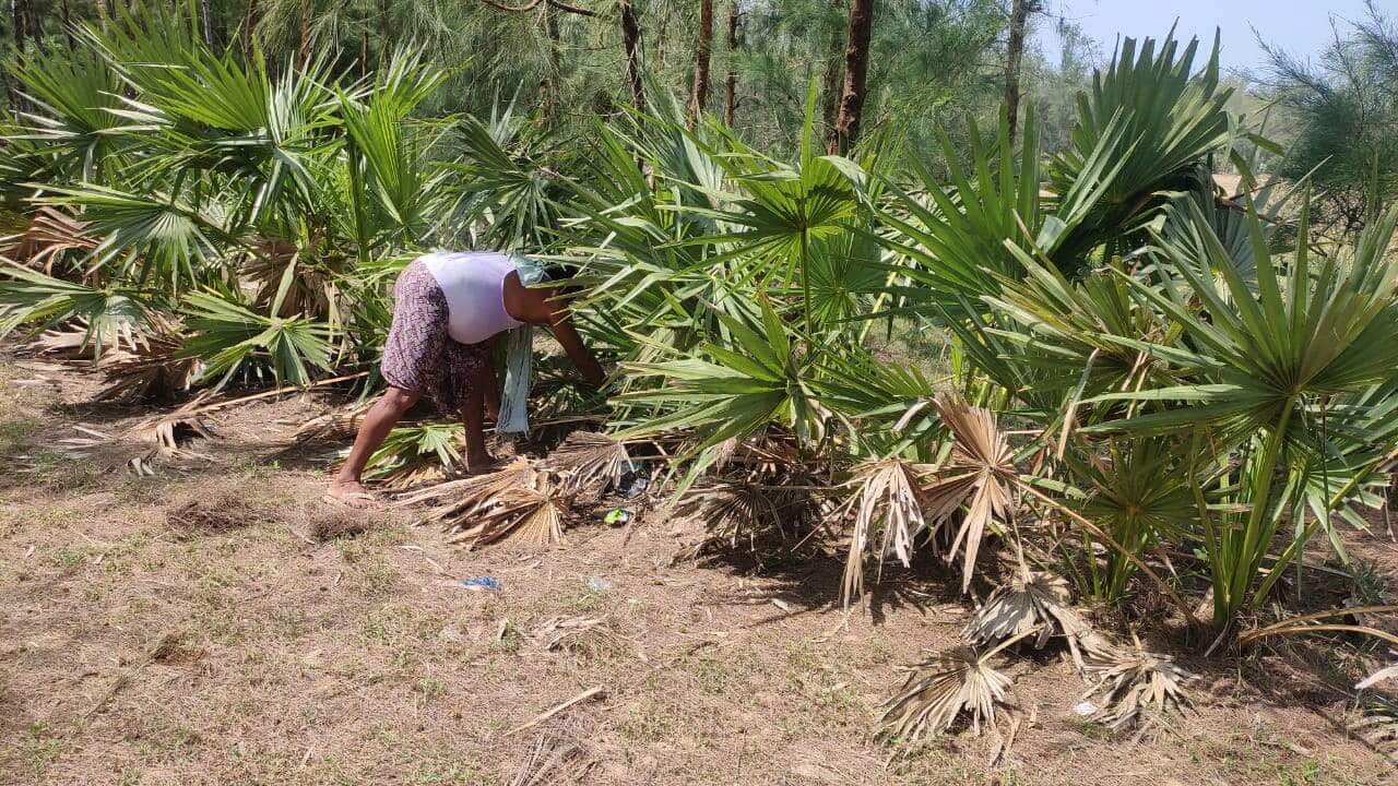 Odisha